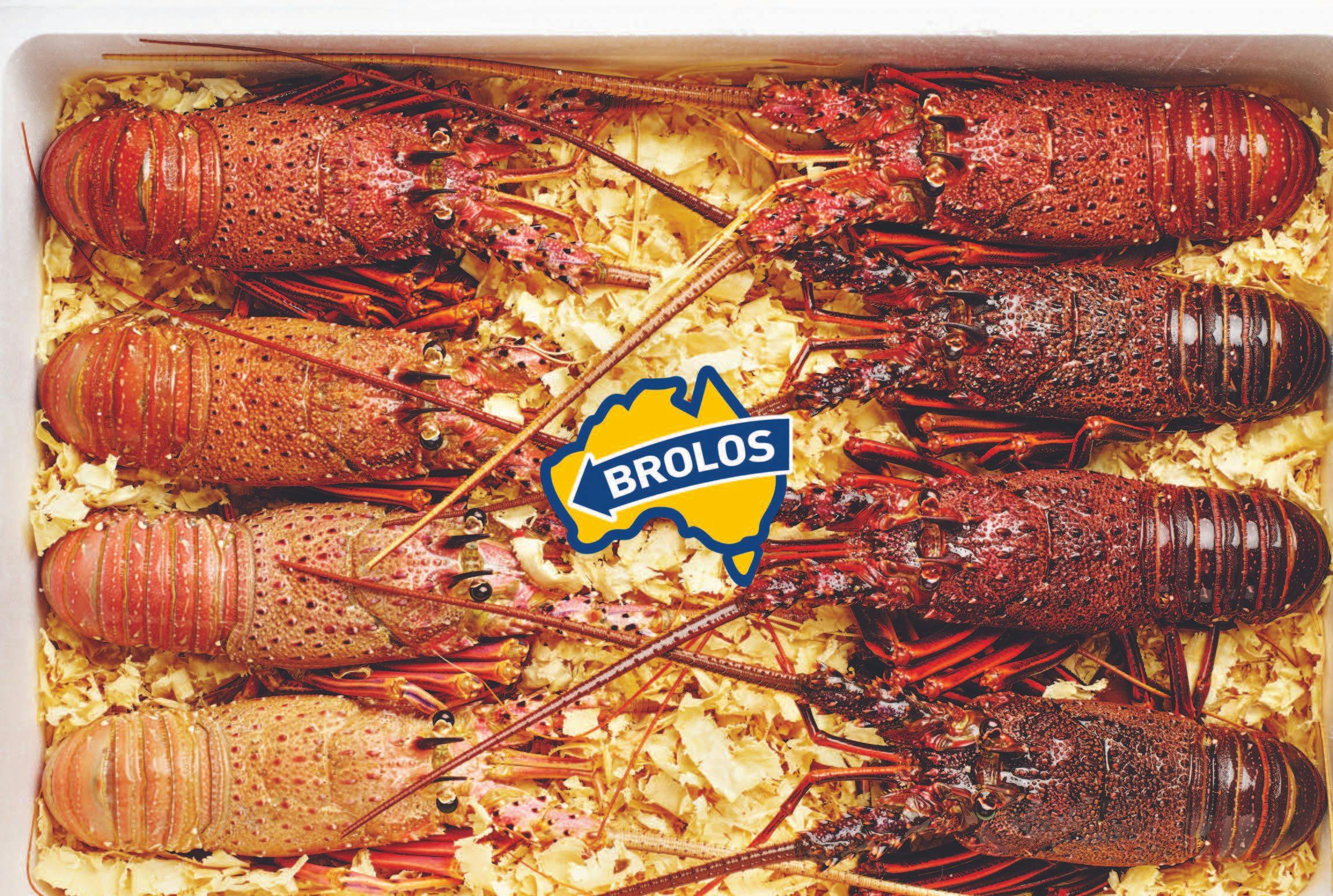 Brolos Lobster